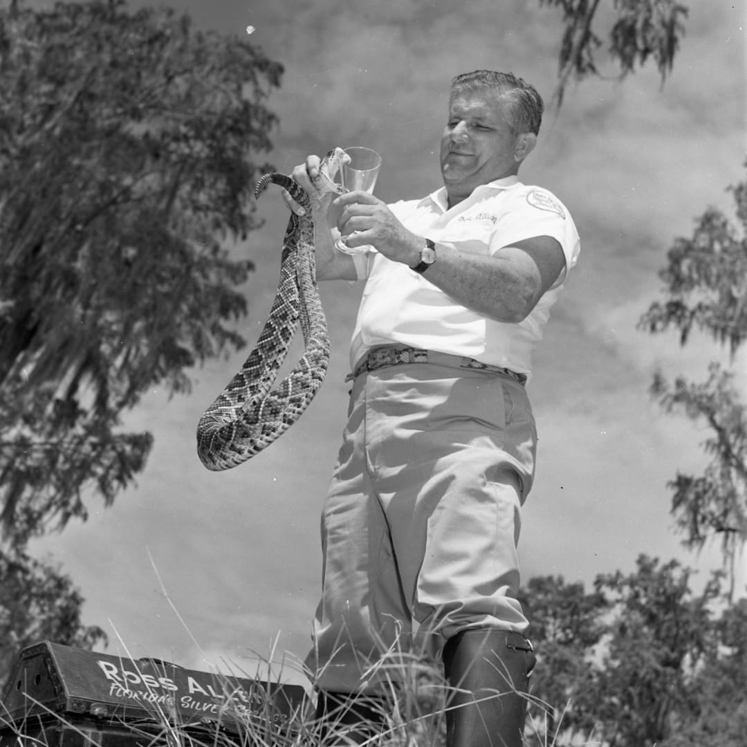 FEAT IMAGEMOZ00407 State Archives of Florida Mozert