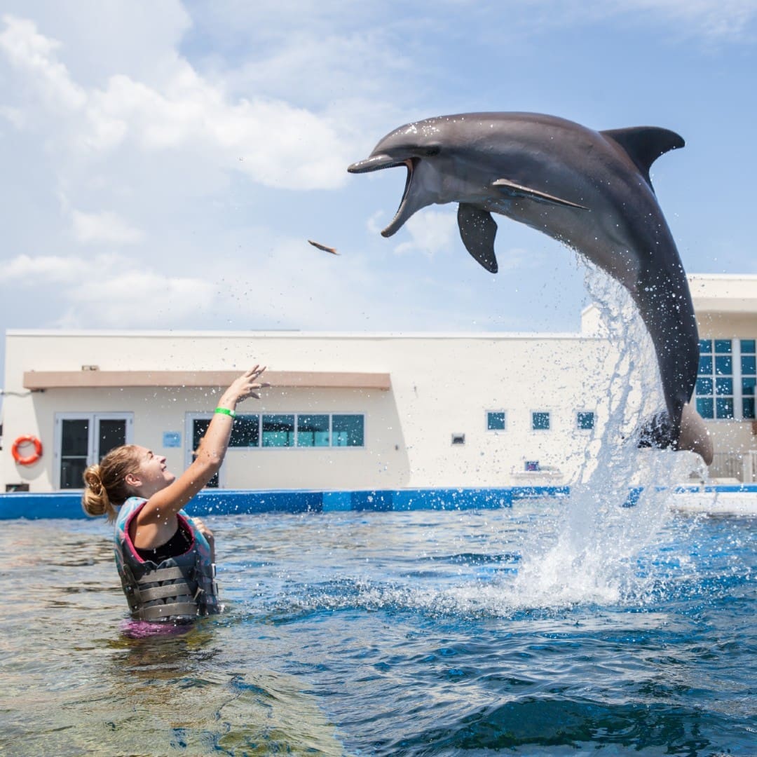 FEAT Marineland ImageE