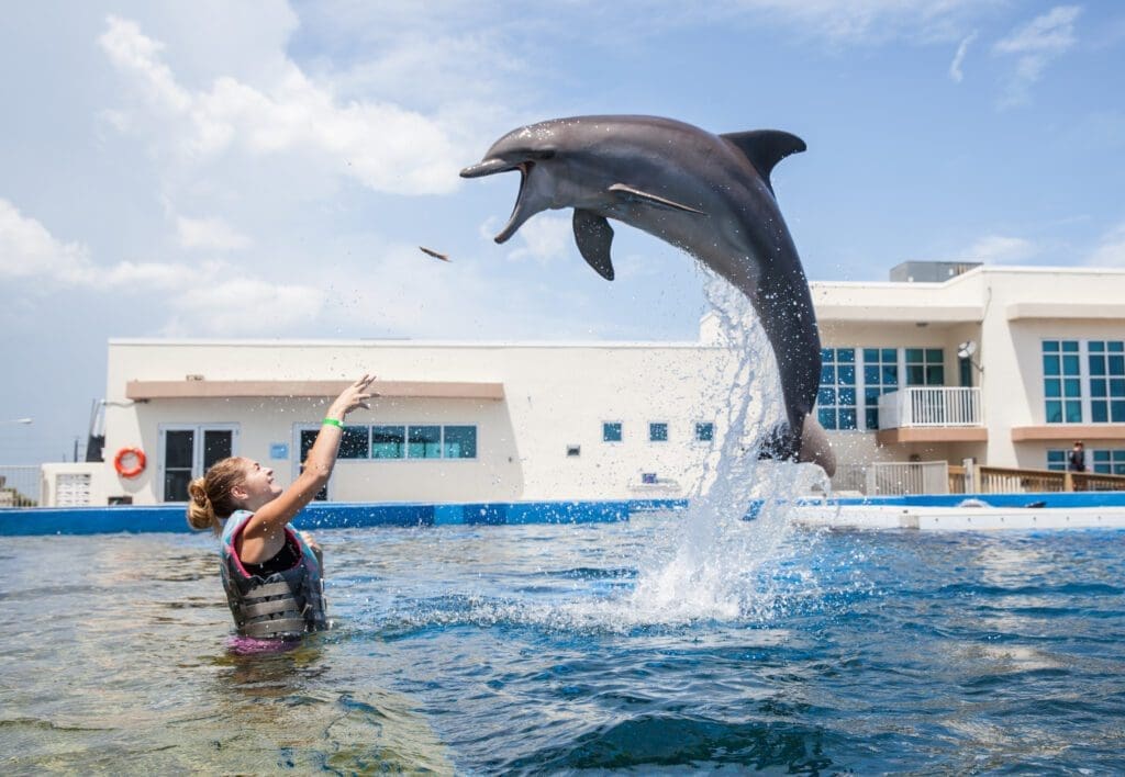The Perfect Family Weekend Getaway is Hiding in Plain Sight 1 Marineland ImageE