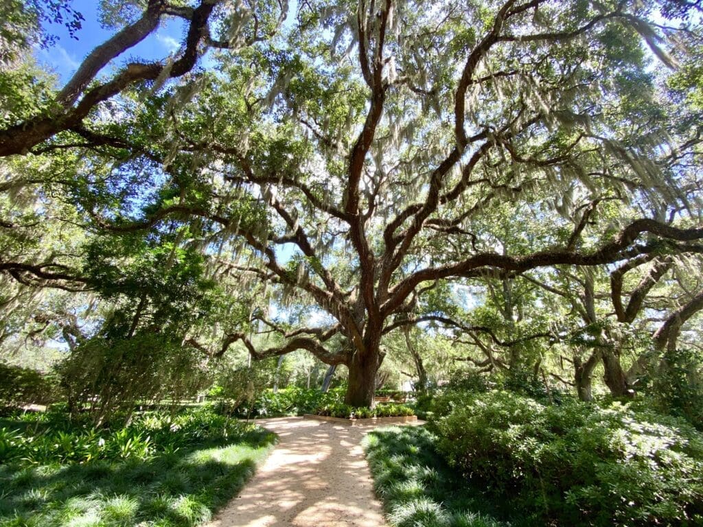 The Perfect Family Weekend Getaway is Hiding in Plain Sight 3 e97cf81103ec8aa486ff9a29fa894e36e173e0de91ec5c0abd98187c21651230