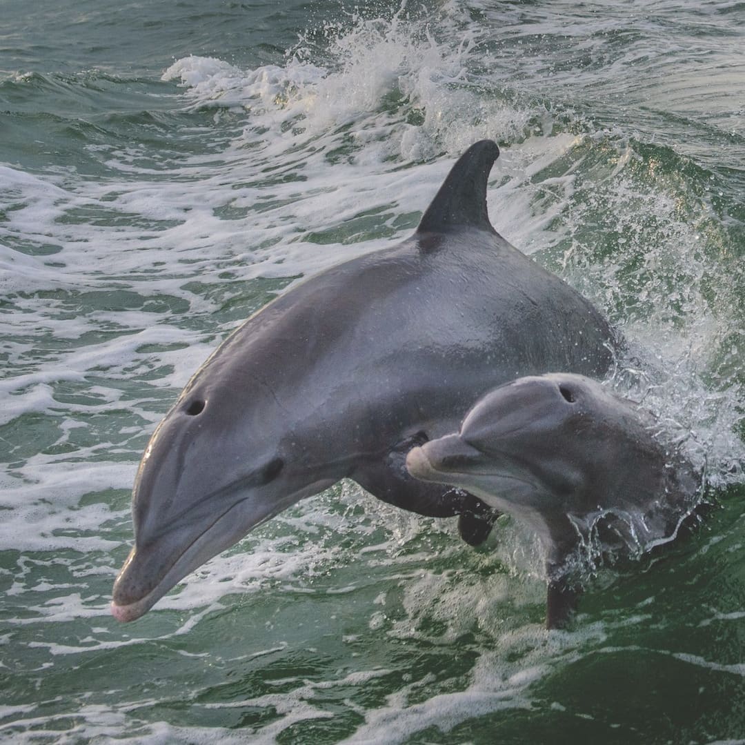 Presenting the Best Travel Stories on Florida