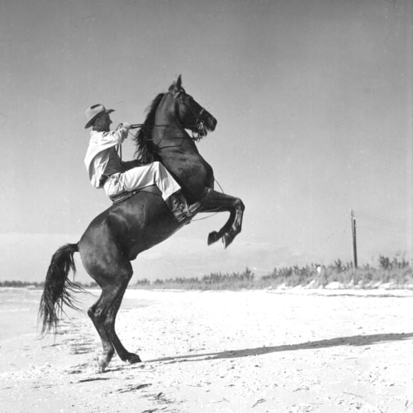 Cattle Country: Keeping up with the Cowboys in Florida 6 WEB c008300