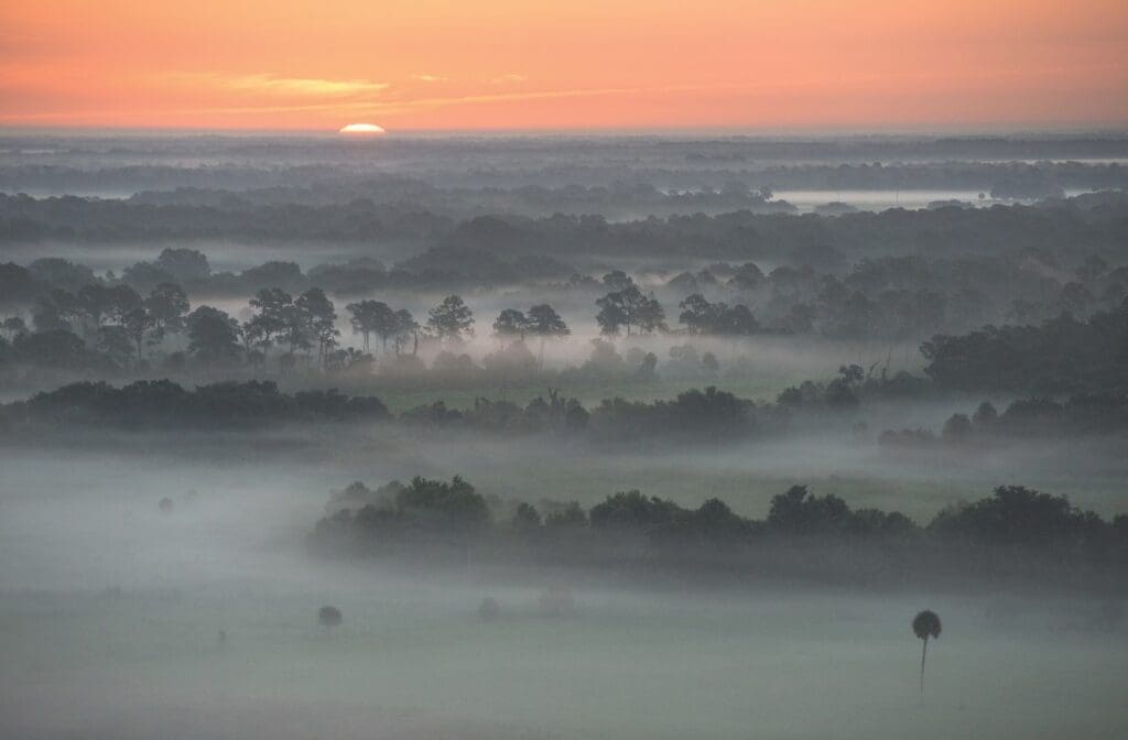 Cattle Country: Keeping up with the Cowboys in Florida 7 WEB FEATURE.V19.CATTLE RANCHING.CWard2016 20868