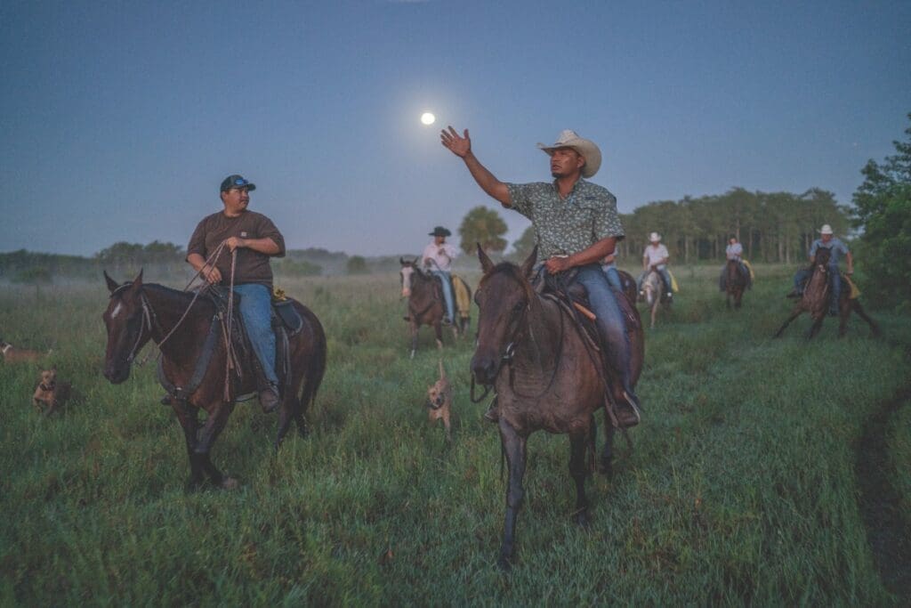 Cattle Country: Keeping up with the Cowboys in Florida 2 WEB FEATURE.V19.CATTLE RANCHING.CWard2019 16935