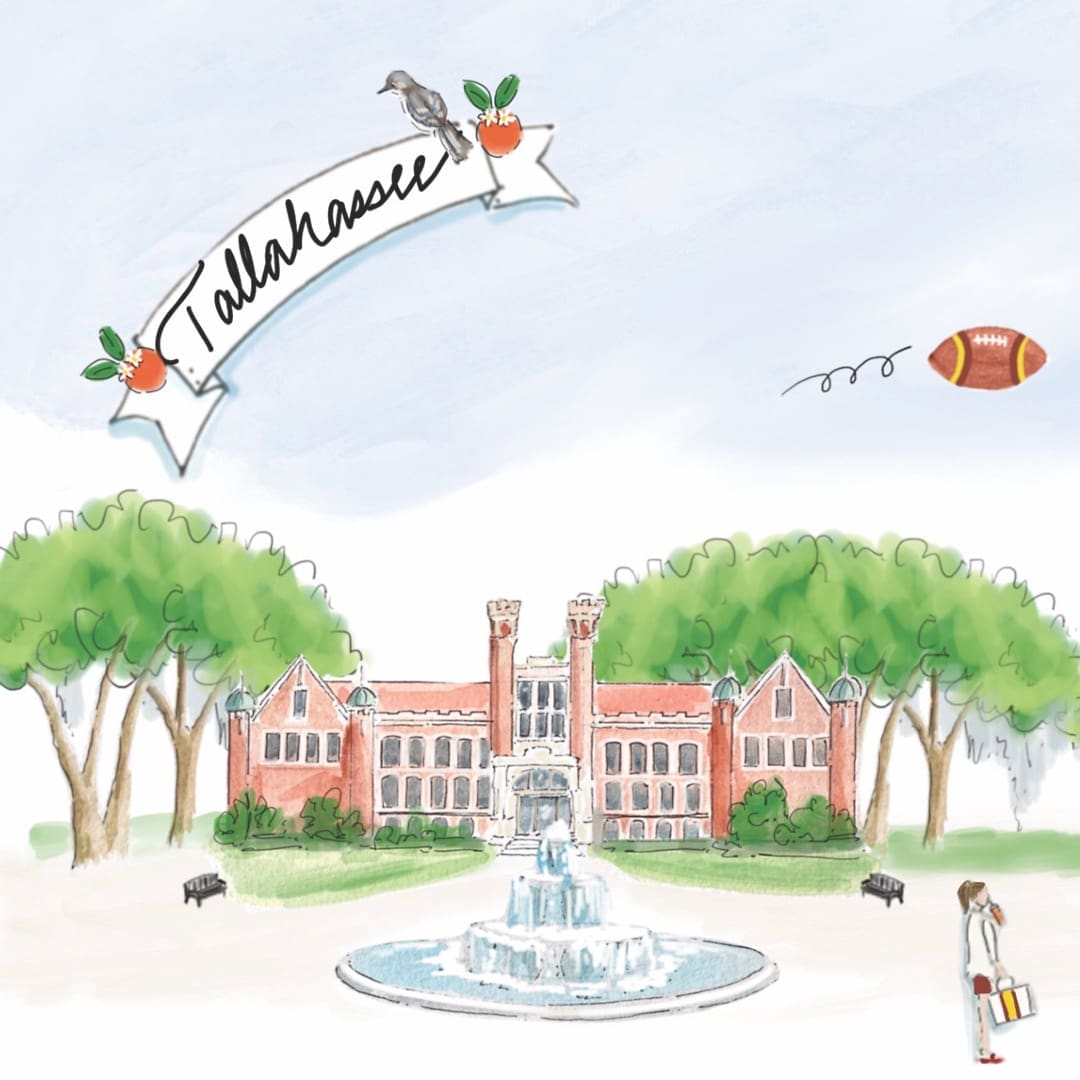 ON THE FLY BIRDS EYE.sky