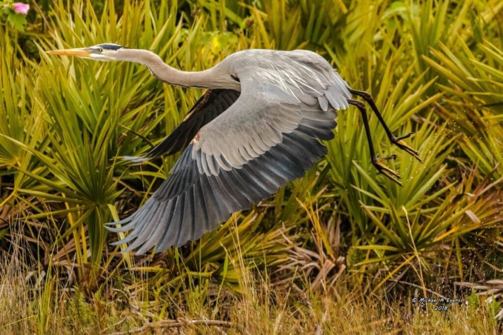 5a7363c65189f 20180122 MG 8546 Edit scaled e1681410164265