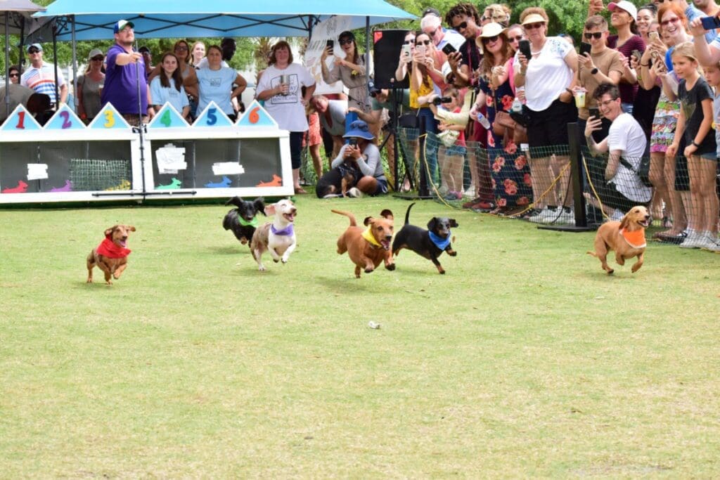 Our Favorite Events Happening Around Florida This Spring & Summer 4 DSC 0817 scaled e1681396575532