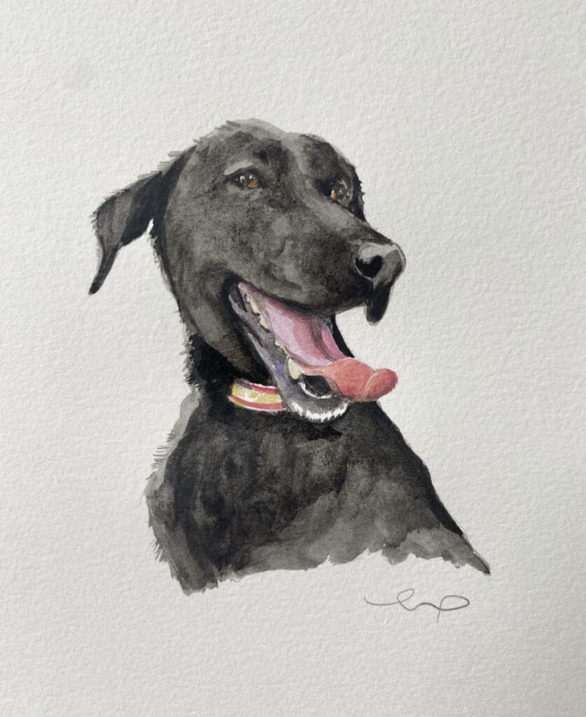 10 Florida-Made Pet Products That Are Just Doggone Cute 4 IMG 3073 e1681825456345