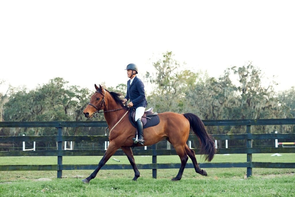 Ocala Levels Up in the Fast-Paced Equestrian World 5 Ocala 6