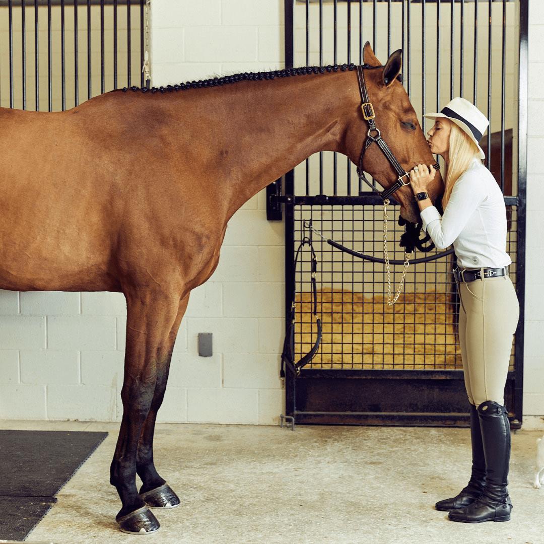 Ocala Ft Image