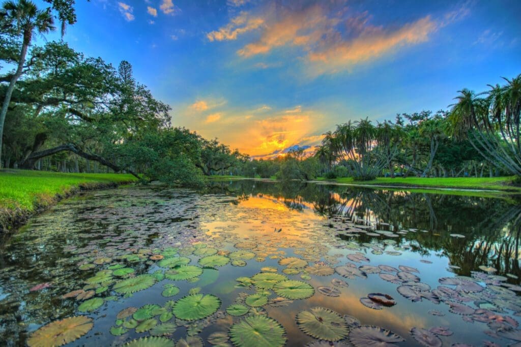 x007x Fort Pierce White City Park Pond with Lily Pads scaled e1681409188787