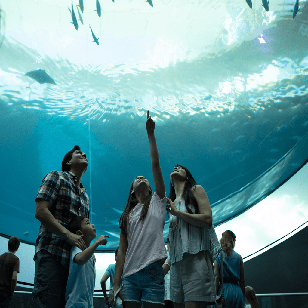 Headed to Miami with the Family? Here's Everything You Should Do While You're There. 1 Image 4