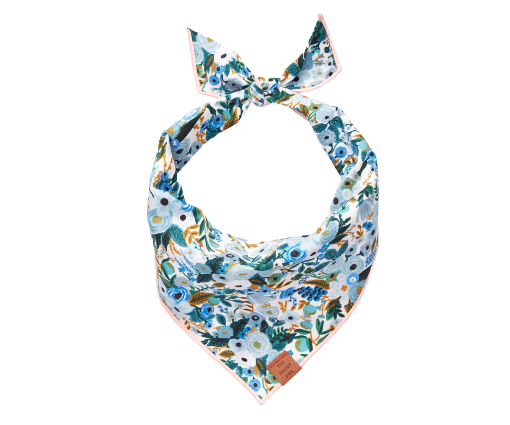 10 Florida-Made Pet Products That Are Just Doggone Cute 5 My project