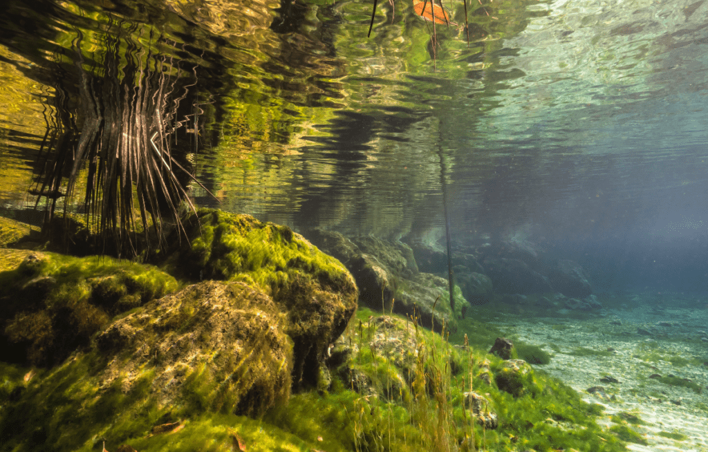 Chad Crawford: The Florida Outdoorsman Turning Passion Into a Powerful Message 5 Conservation1
