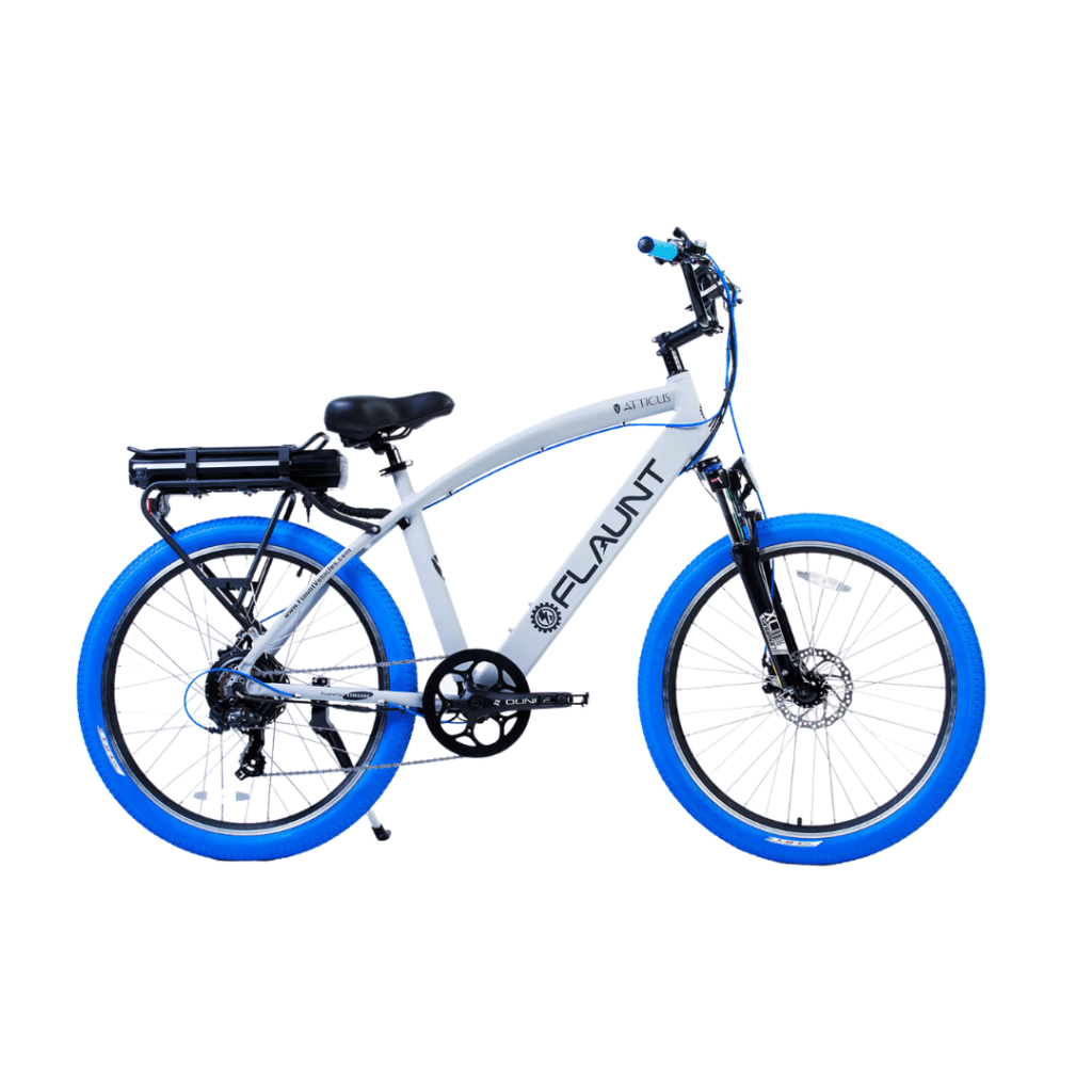 Flaunt EBikes