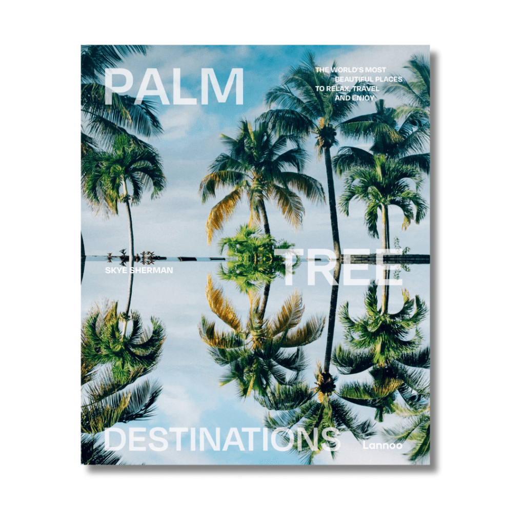 Palm Tree Destination