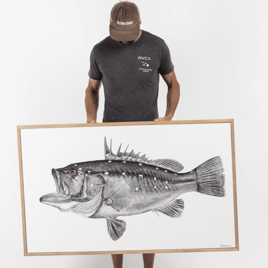 Snowy Grouper Square