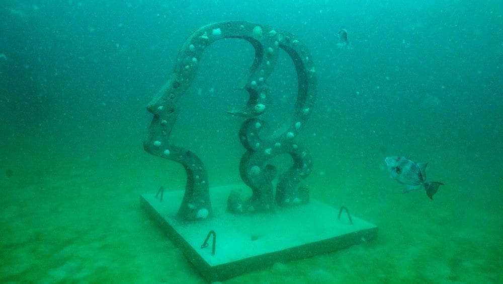 Aspiration Underwater . Spring Run Media