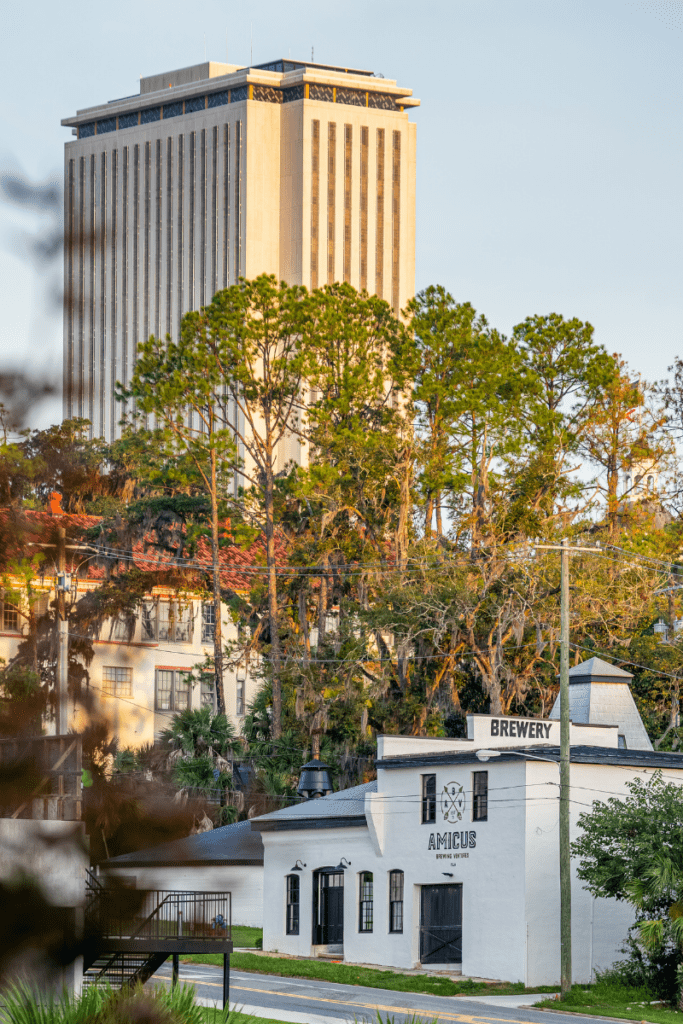 12 New Openings To Explore Across Florida This Spring 4 Amicus Brewing 2 1