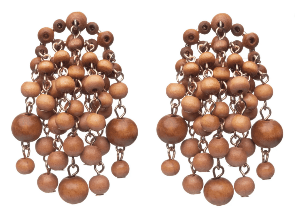 From Medical Tools to Runway Jewels: The Journey of Dannijo's Sister Duo 2 wood earrings image 1
