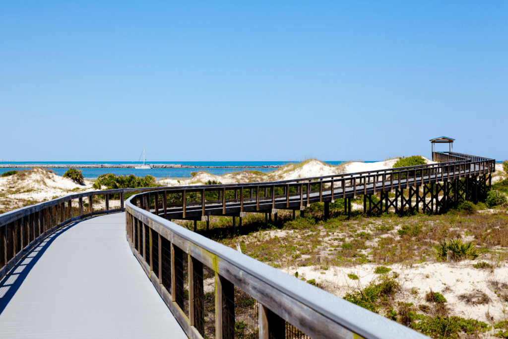 nsb opening photo