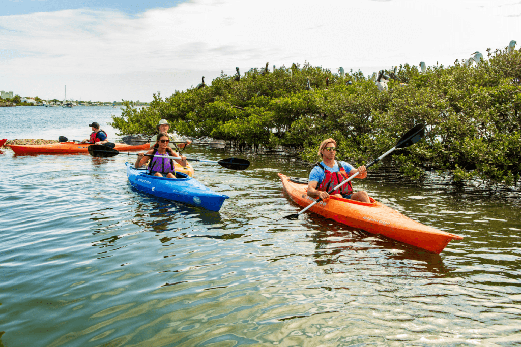 Discover New Smyrna Beach: Florida's Ultimate Outdoor Adventure Destination 3 sized kayak