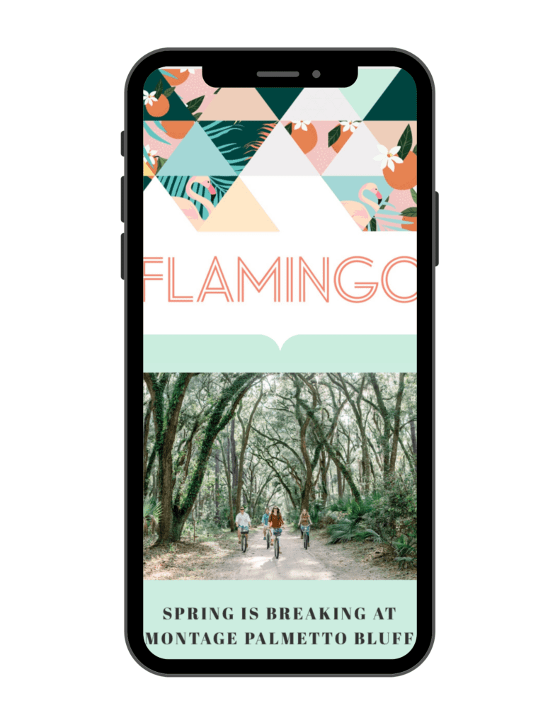 Website Newsletter Media Page