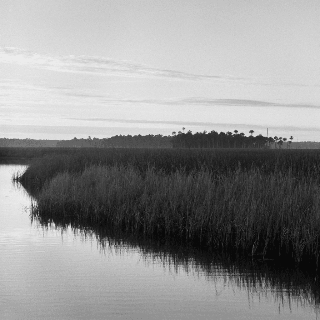 In Focus: Photographer Benjamin Dimmitt’s Lifelong Affair with Chassahowitzka 4 2 1