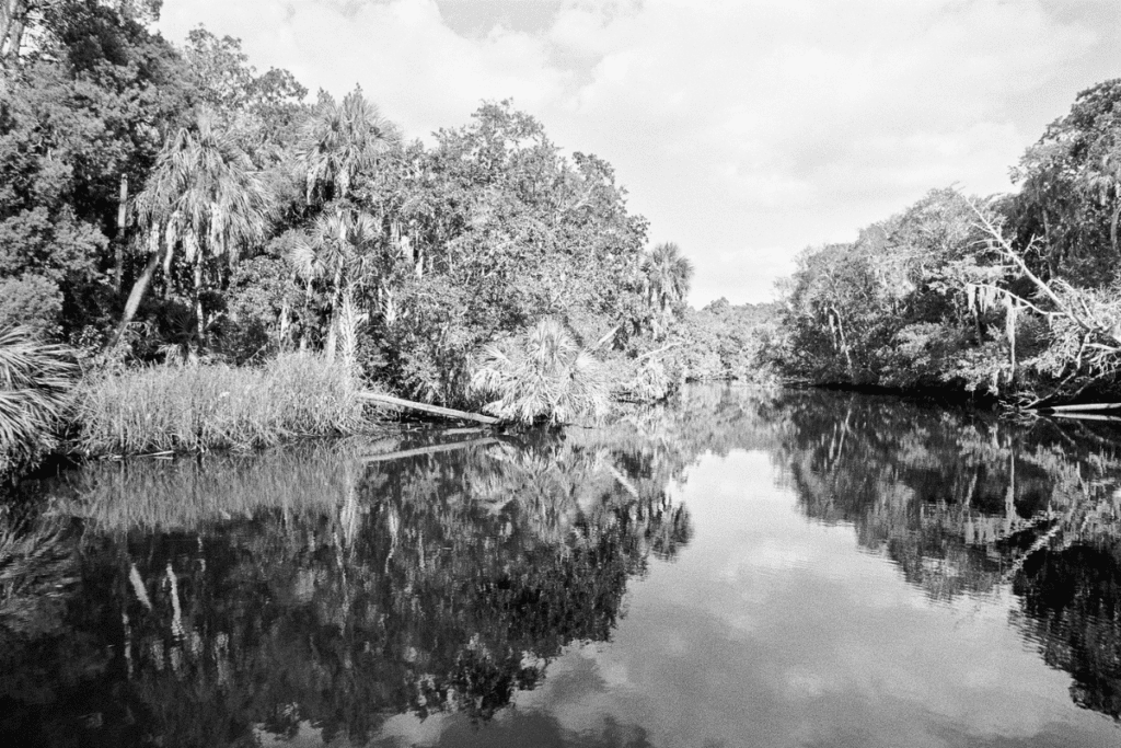 In Focus: Photographer Benjamin Dimmitt’s Lifelong Affair with Chassahowitzka 5 3 1