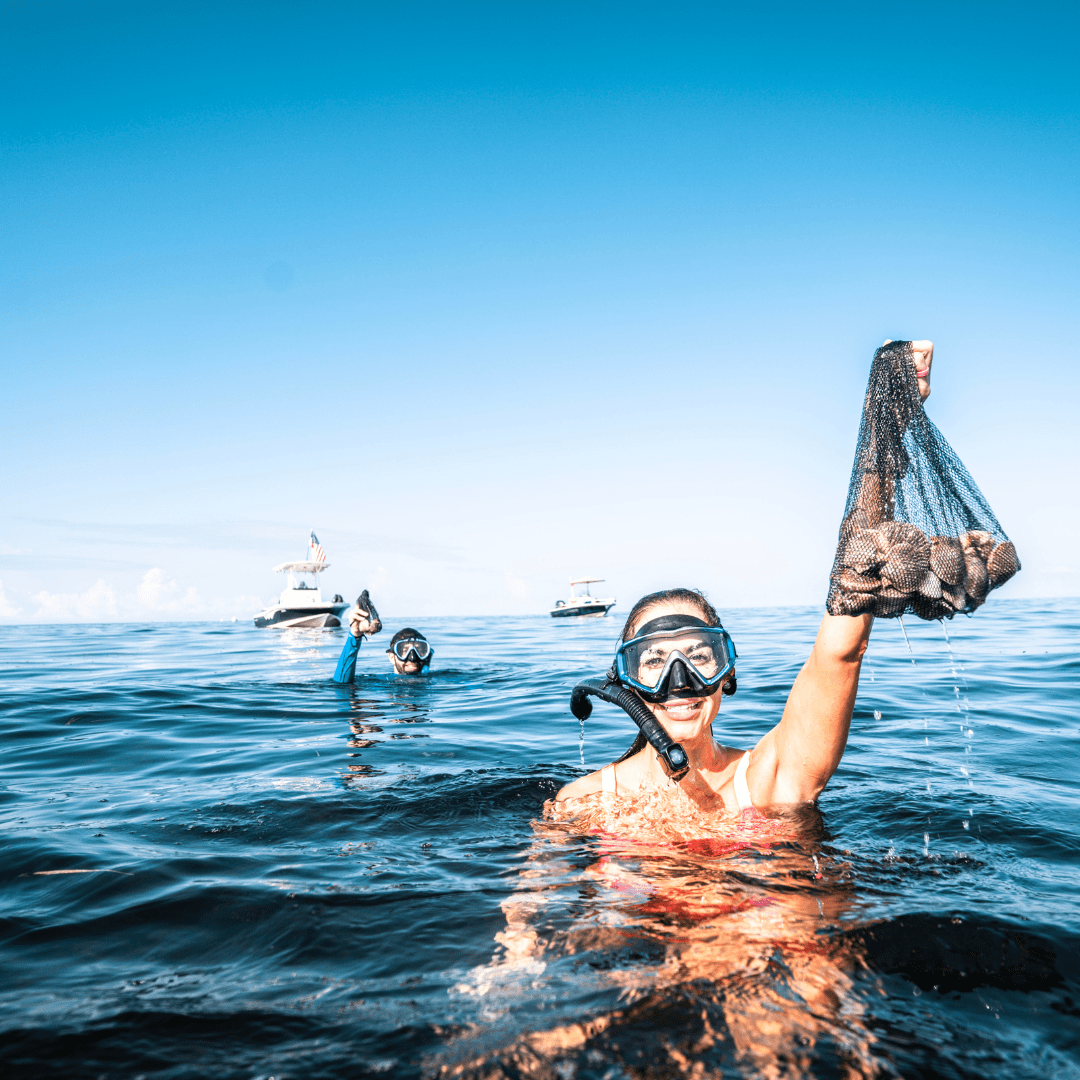 square scalloping