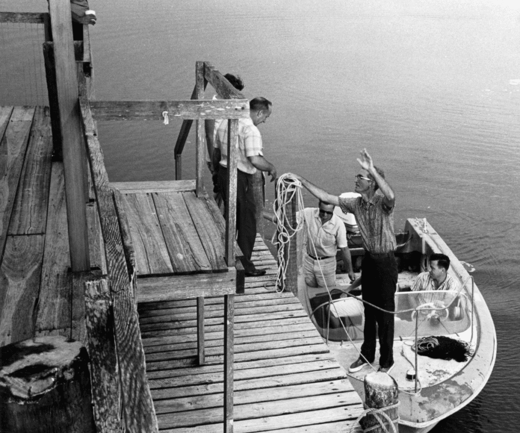 Stilt Houses and Scallops: A Dive Into Old Florida's Hidden Gems 3 stilt photo 5