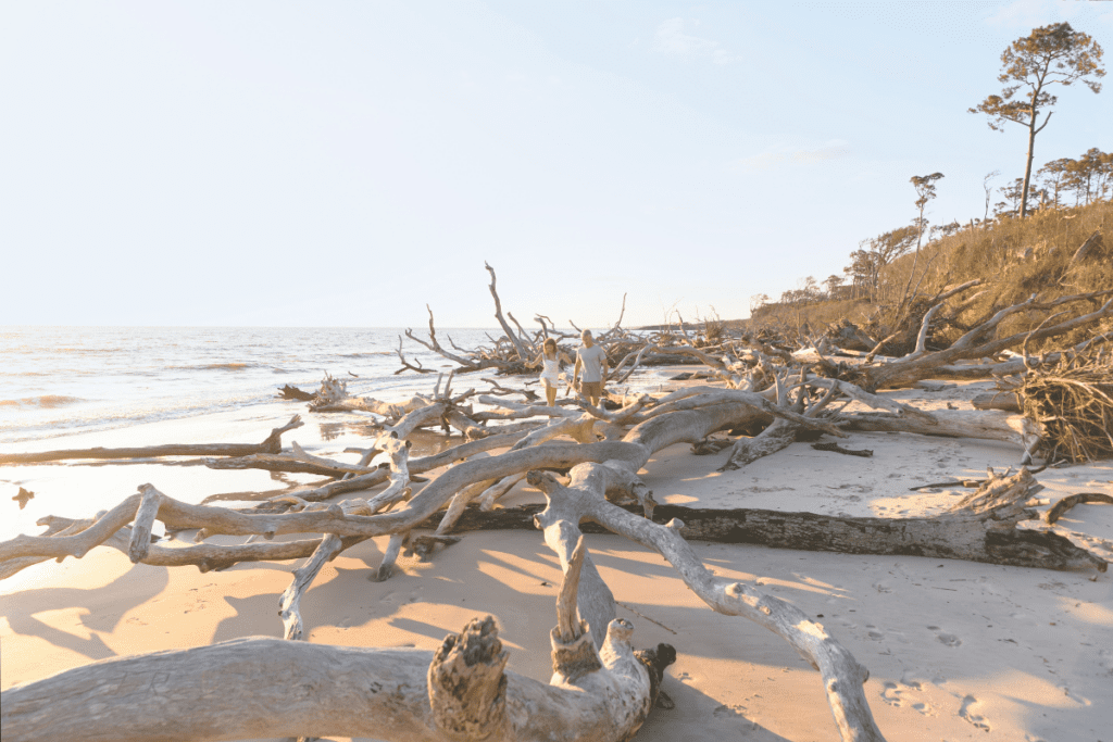 Sinkholes, Springs and Everything In Between: Explore Florida's 175 State Parks 1 1