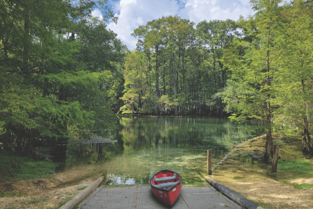 Sinkholes, Springs and Everything In Between: Explore Florida's 175 State Parks 8 3