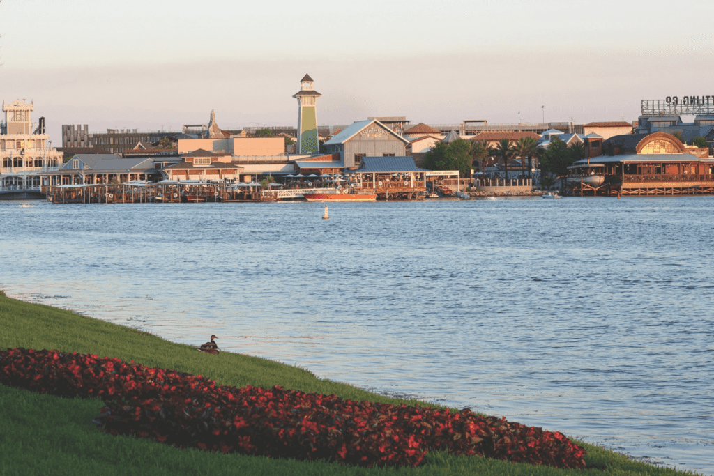 What To Do in Orlando 3 6