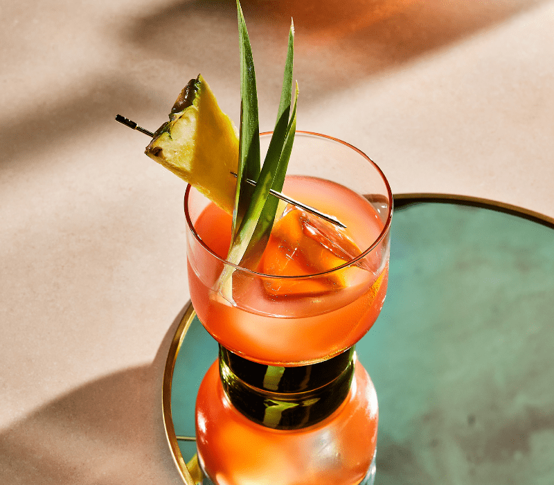 Miami bird cocktail article Canva