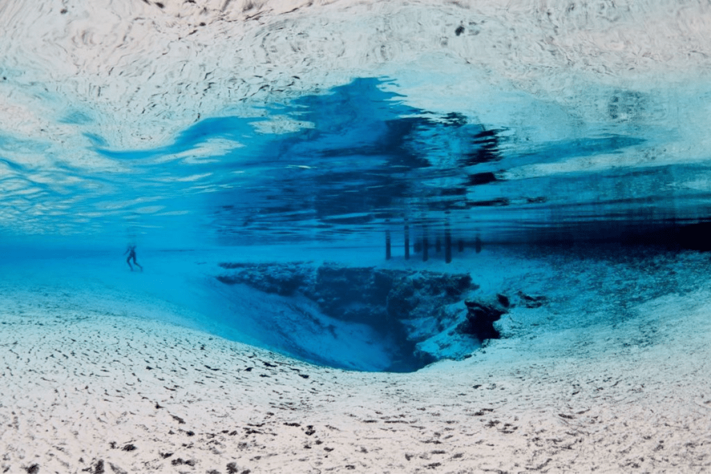 Jennifer Adler's Love Letter to Florida's Freshwater Springs 2 Stretch