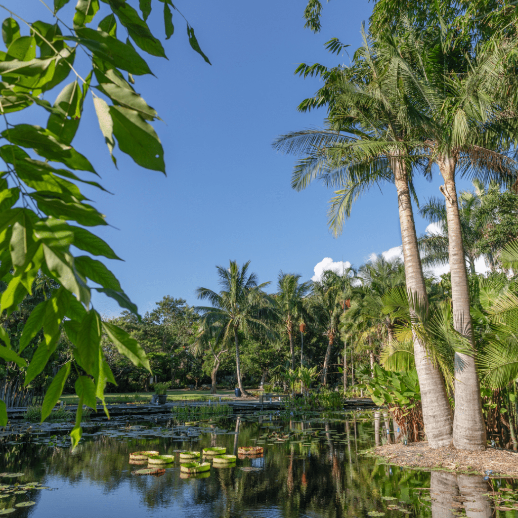 article image water garden naples
