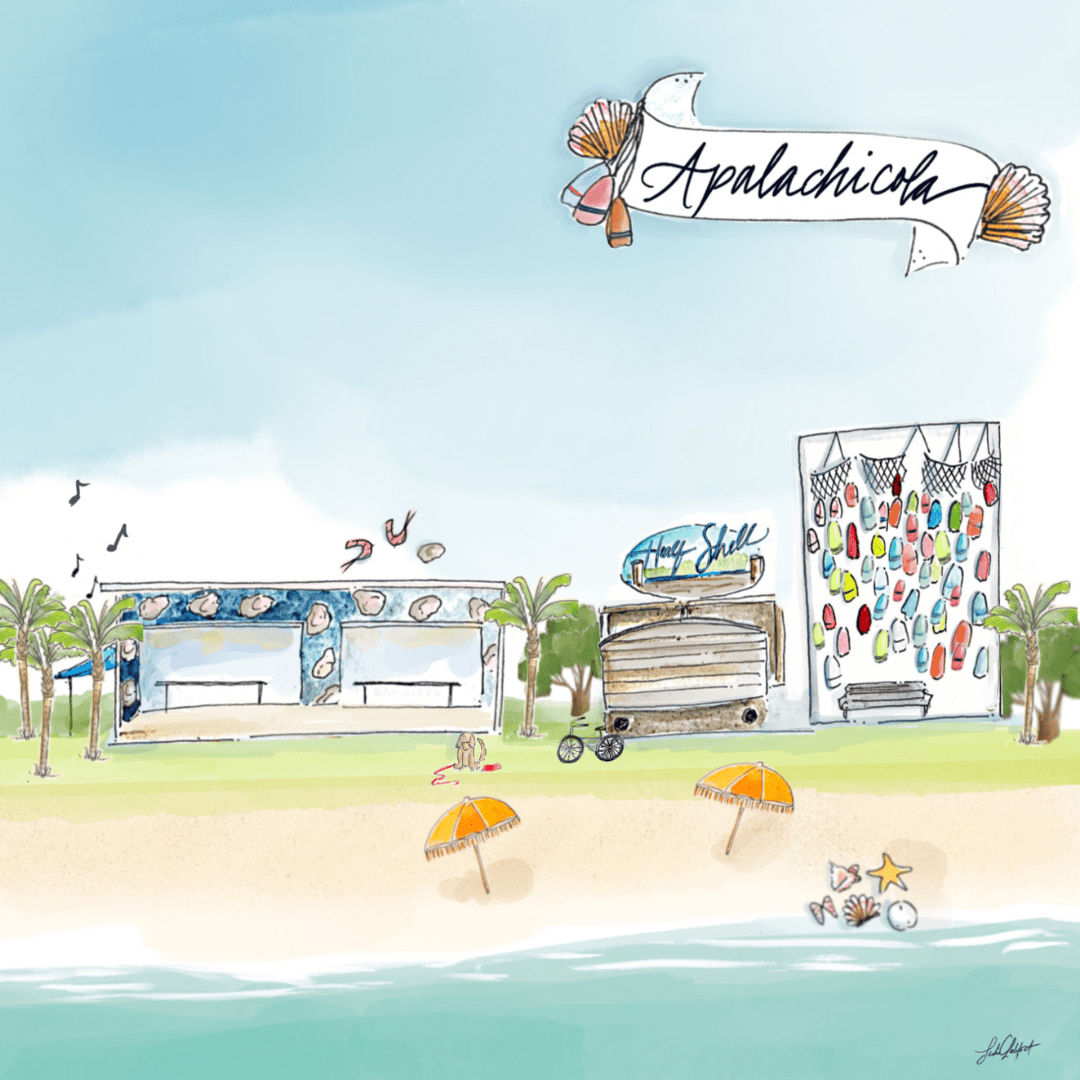 birds eye view article canva 1