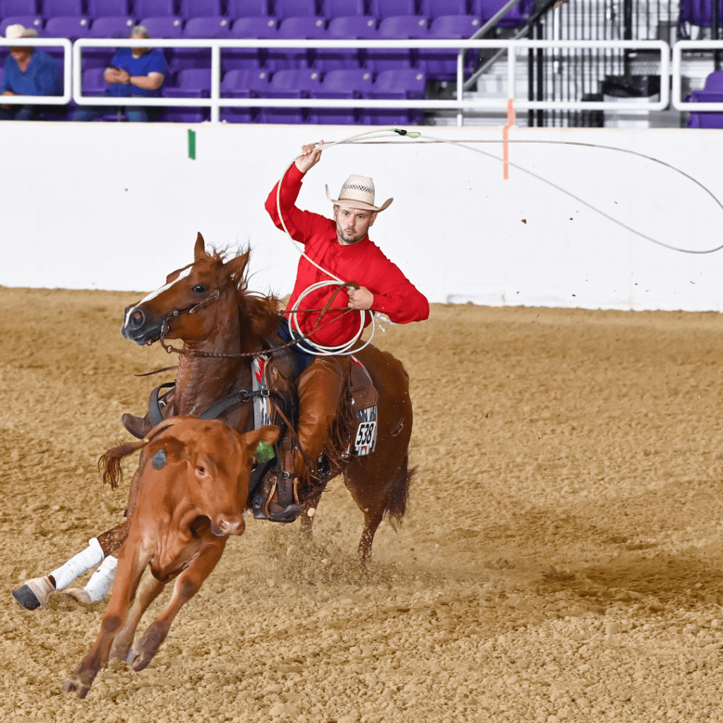 tide canva range photo