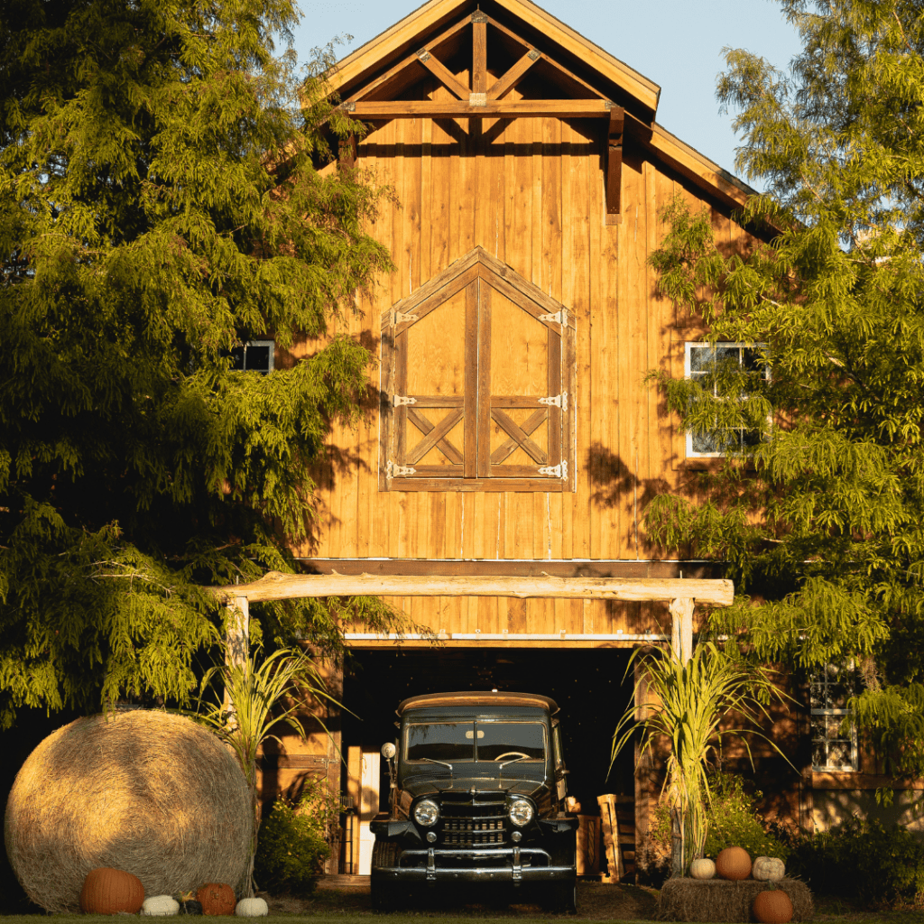 tide canva sweetfield farms 1