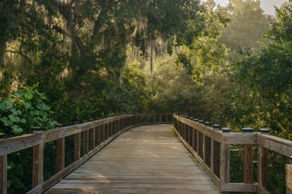 Fall for Tallahassee: Football, Food and Fun in Florida’s Capital 4 TDC OUT JR Alford BAR0543