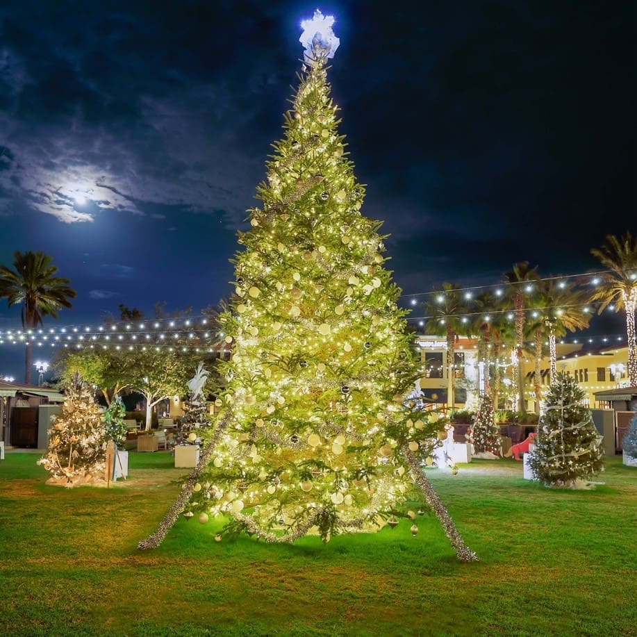 Festival of Trees at Grand Boulevard