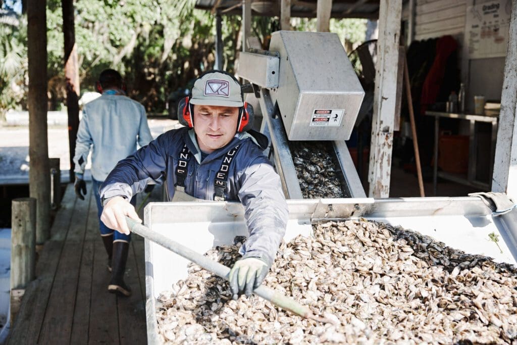 How Cainnon Gregg is Redefining Gulf Coast Oysters 3 shinydimes 0082