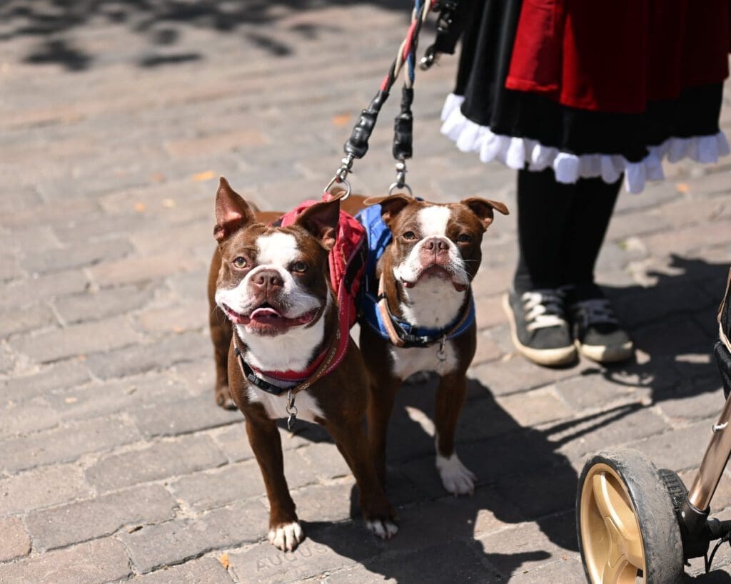 What To Do in Florida This March 8 279393149 4849192895207160 4289867655509021052 n