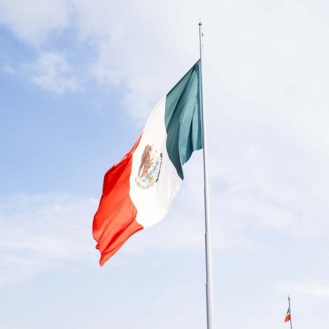 Flamingo CDMXFlagSquare 2025