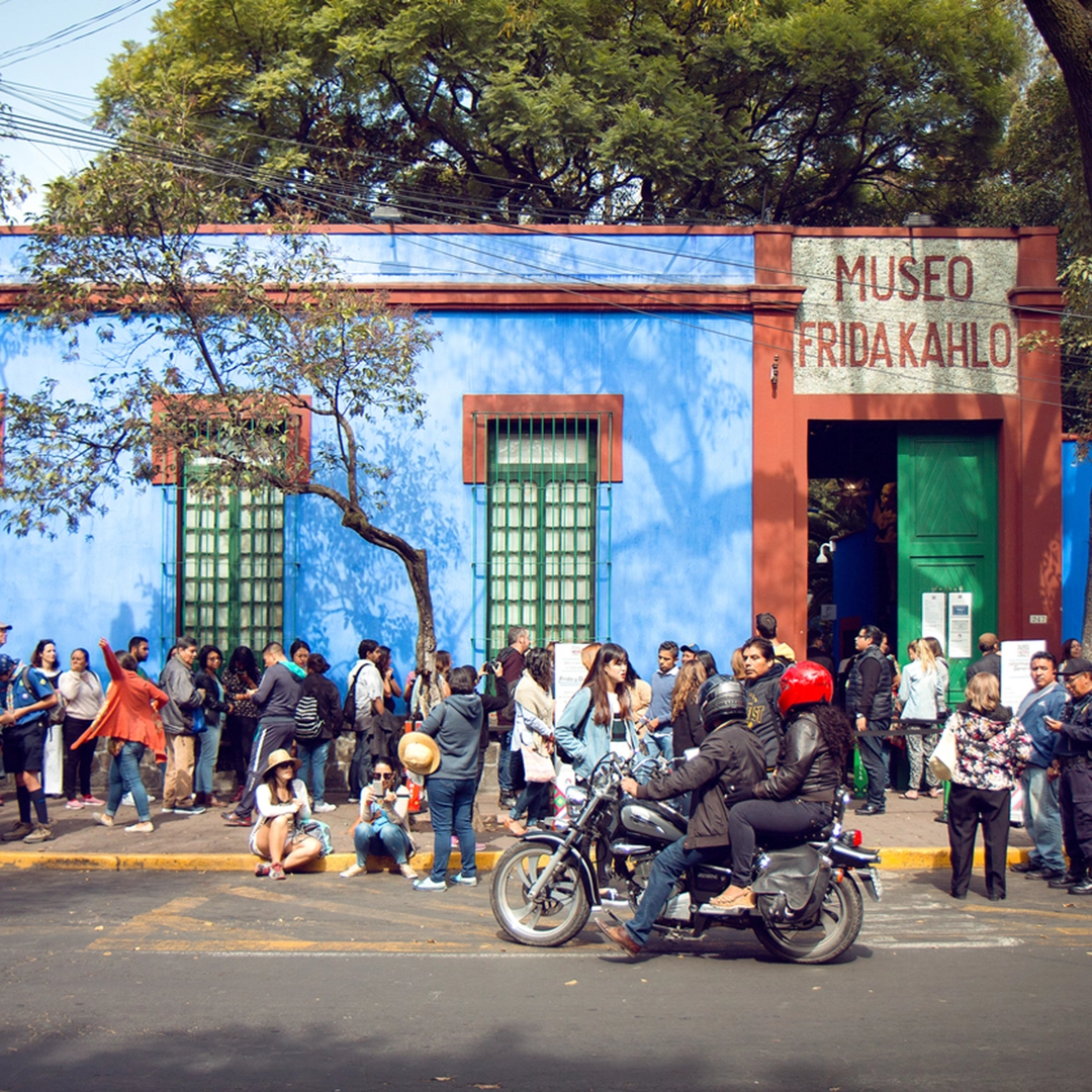 Flamingo CasaAzul 2025