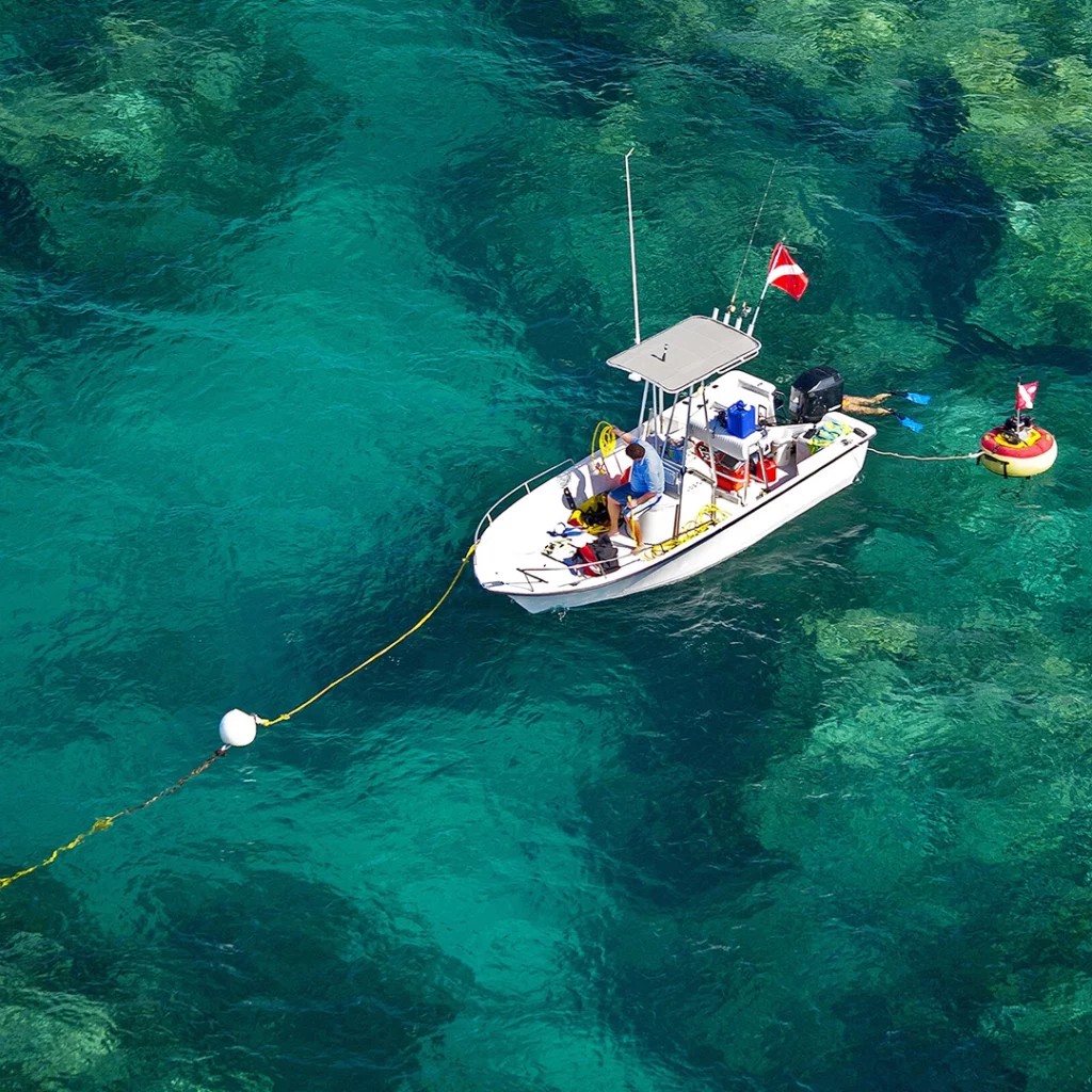 Snorkeling in the Florida Keys