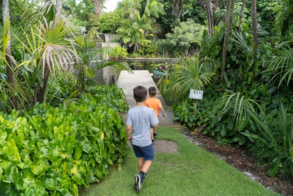 Flamingo NBGNaturePlay 2025