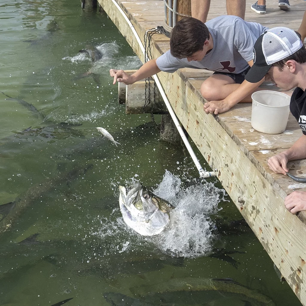 Get Key-zee With These Three Guides to the Florida Keys 10 Robbie's of Islamorada in the Florida Keys