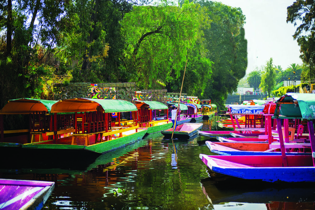 Venture into the Ultimate Taco Territory (and more) in Mexico City 2 Flamingo xochimilco cover 2025